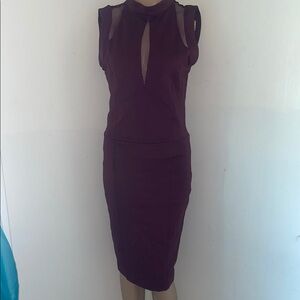 Elegant burgundy Sleeveless Dress